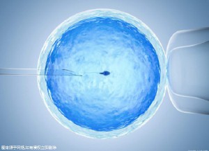 男性因素案例